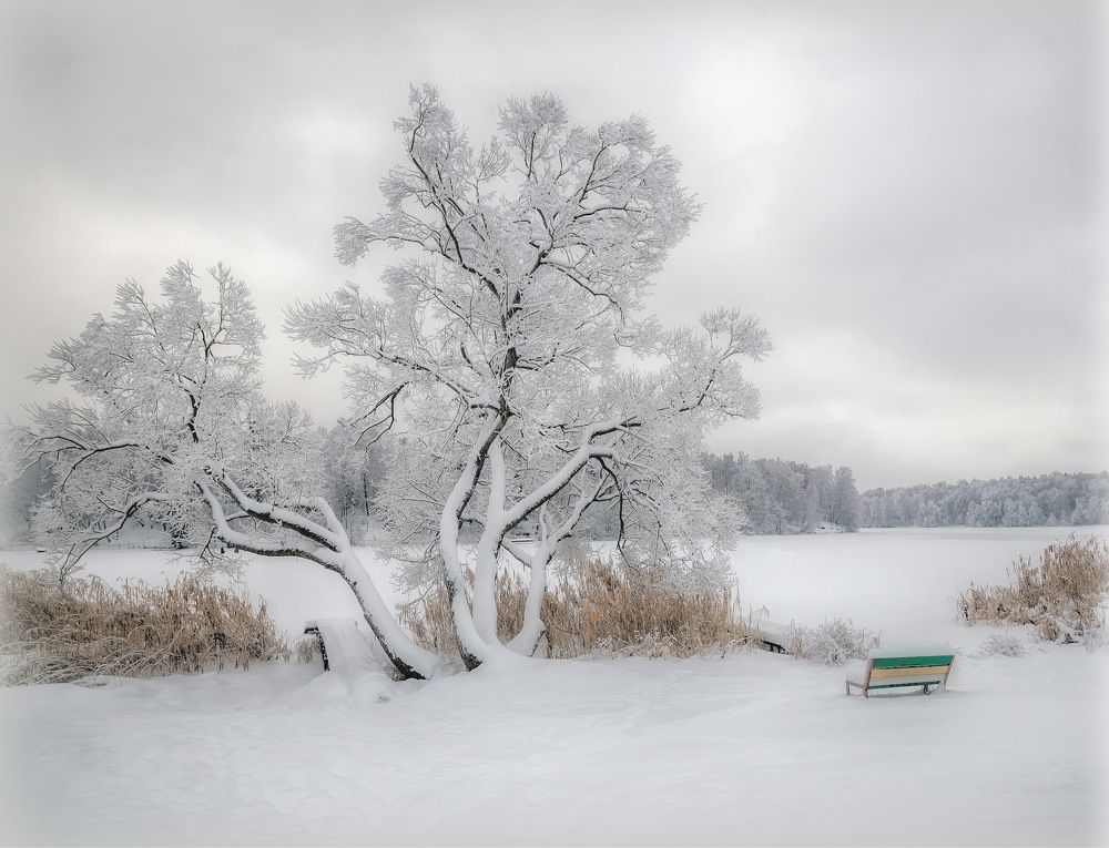 Photograph by Сергей Аникин