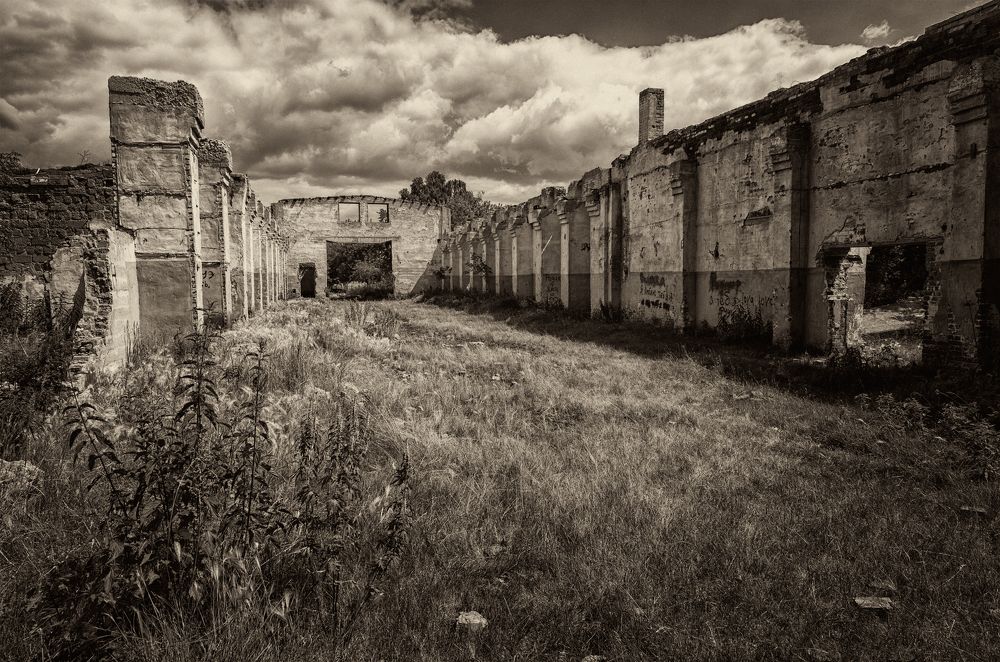 Photograph by Евгений Кужилев