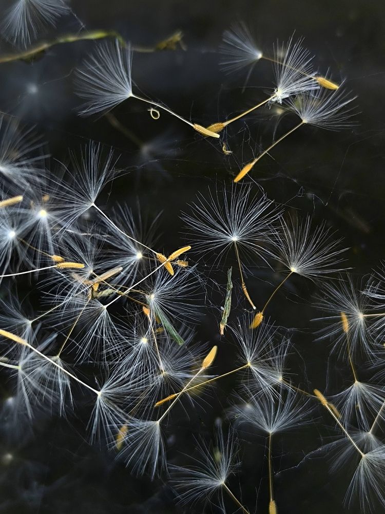 Фотография автора Лена Гром