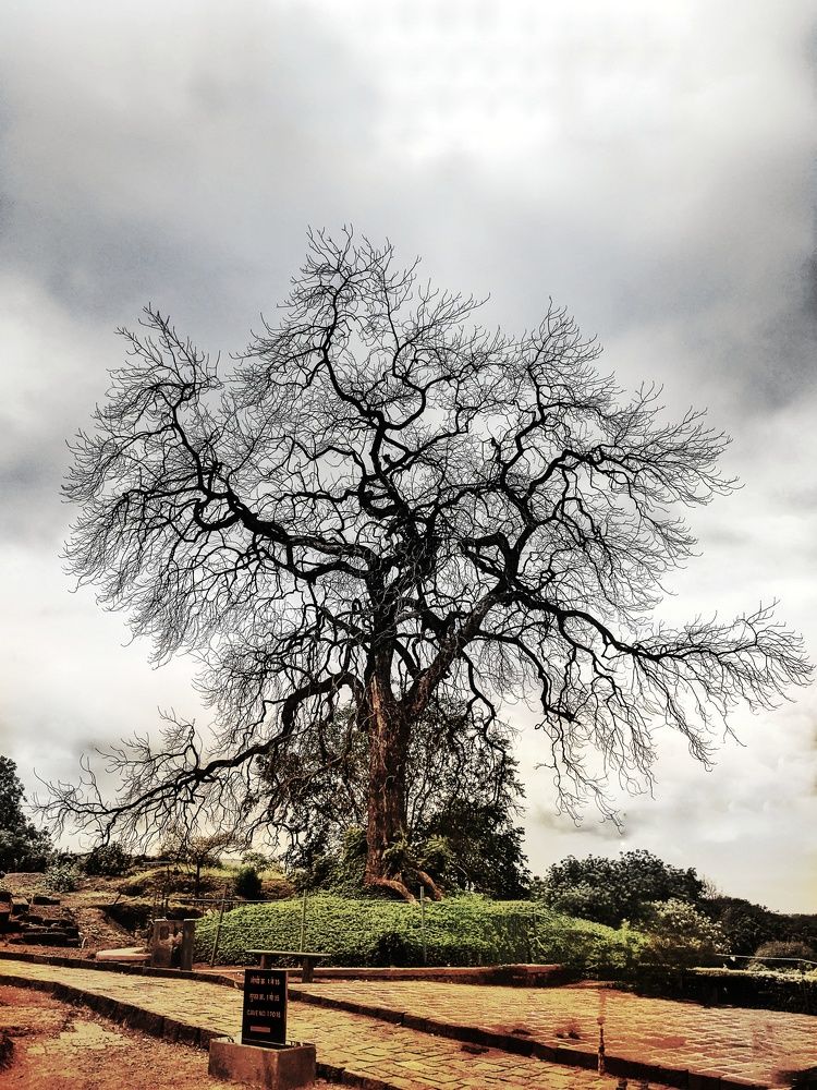 Photograph by Sai Krishna