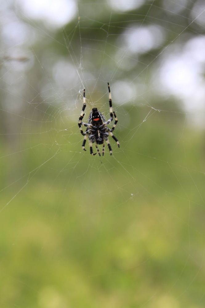 Photograph by Aleksey Maevskiy