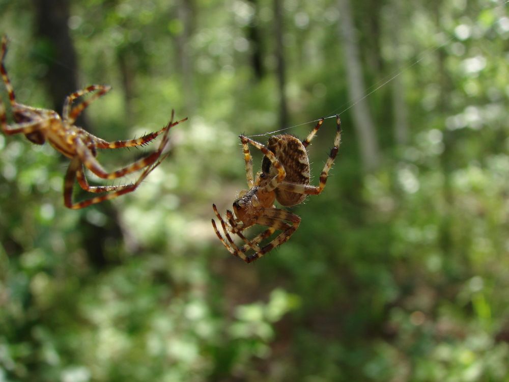 Photograph by Aleksey Maevskiy