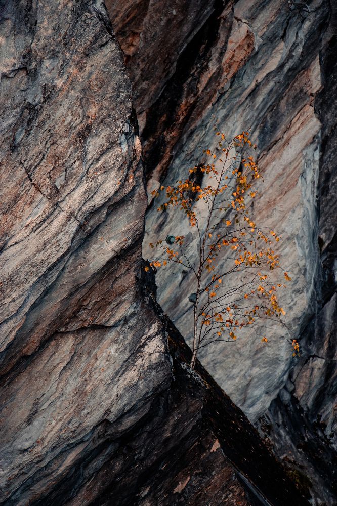 Photograph by Евгений Фисун