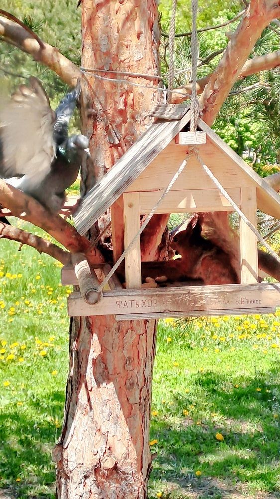 Photograph by Александра