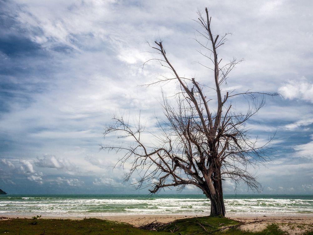 Photograph by Olga Yarovenko