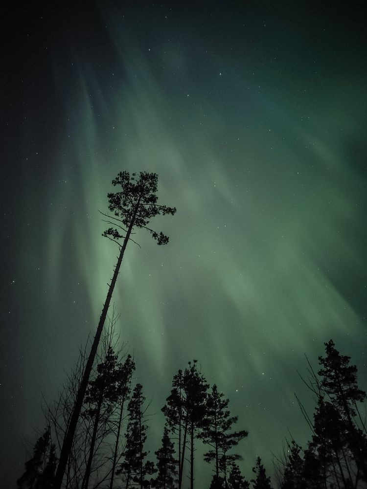 Photograph by Карина Заводчикова