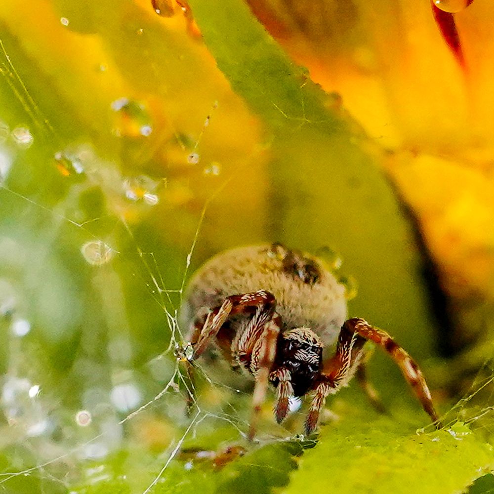 Photograph by kamran shirani