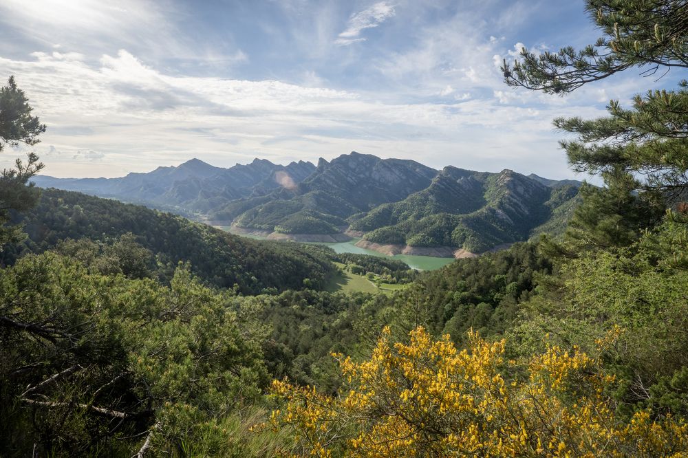 Photograph by Николай Попов