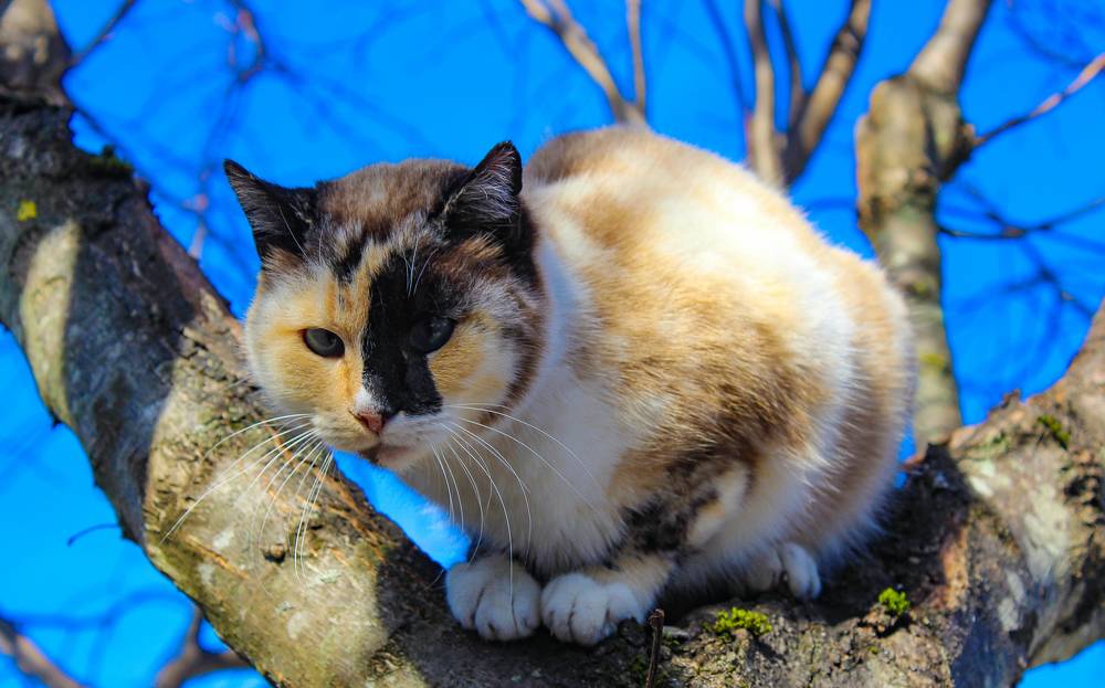 Photograph by Francisco Ferreira