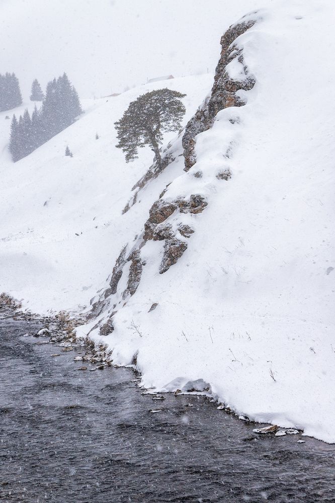 Photograph by Старцев Андрей