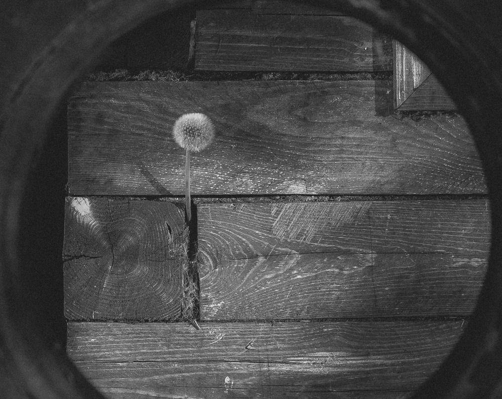 Photograph by Андрей Астафьев