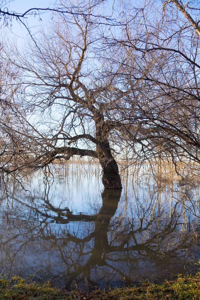 Photograph by Сергей Хранитель