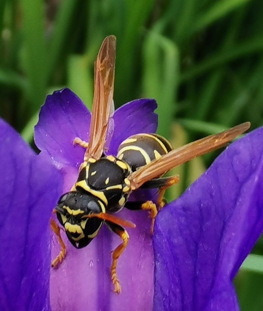 Photograph by Nikolett Mengyi