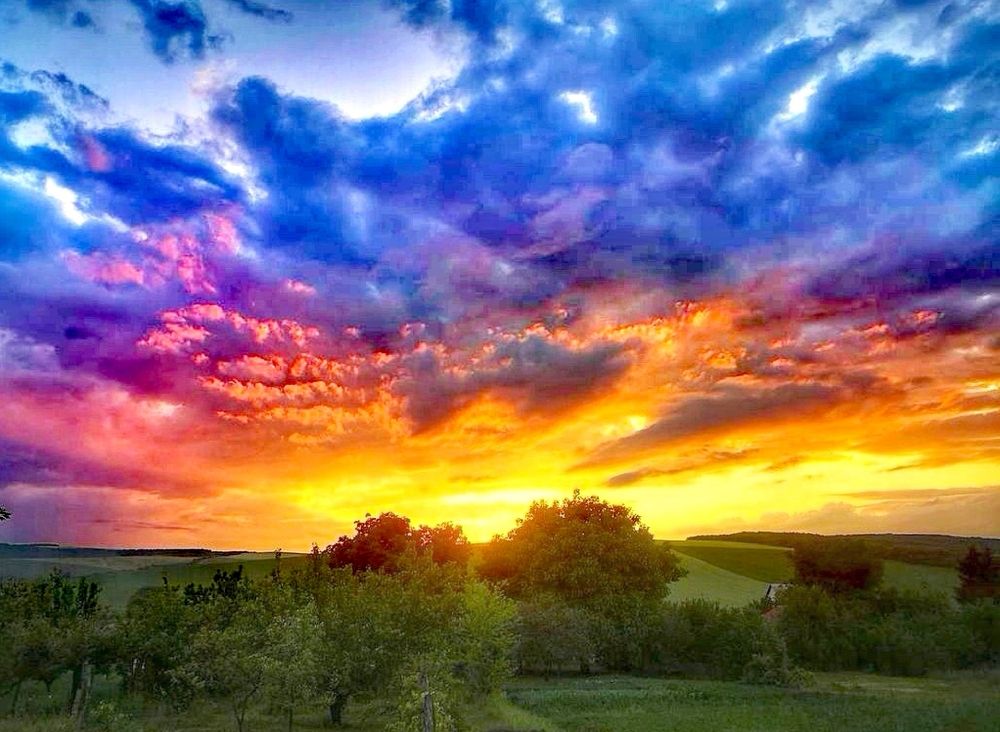 Photograph by Nikolett Mengyi