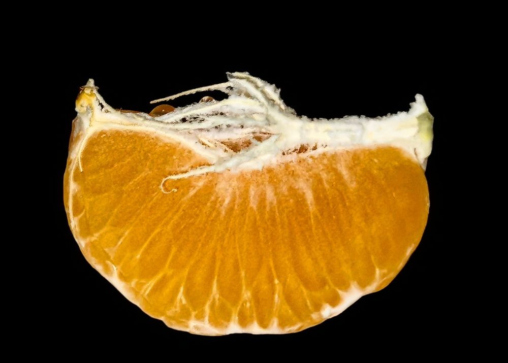 Photograph by Nikolett Mengyi