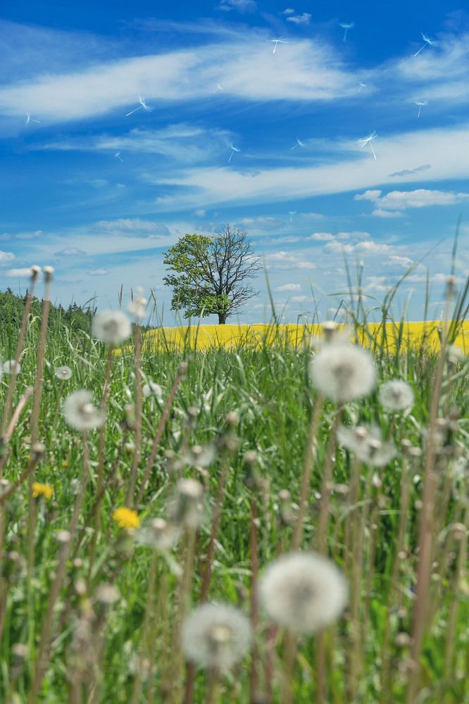 Фотография автора Игорь Ефремычев