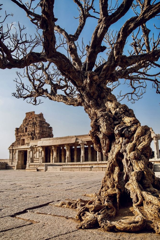 Photograph by Светлана Юдина