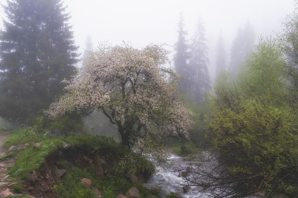 Photograph by Светлана Краюшкина