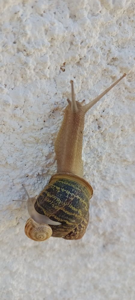 Photograph by Людмила Викулова