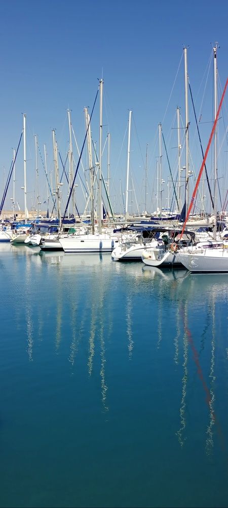 Photograph by Людмила Викулова