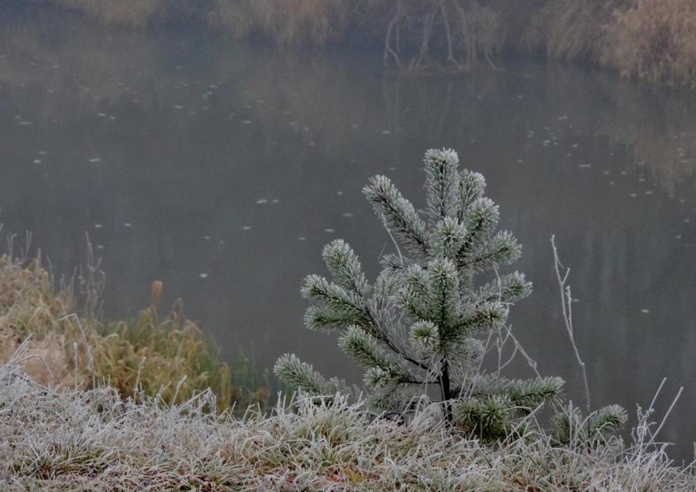 Photograph by Павел Васильев