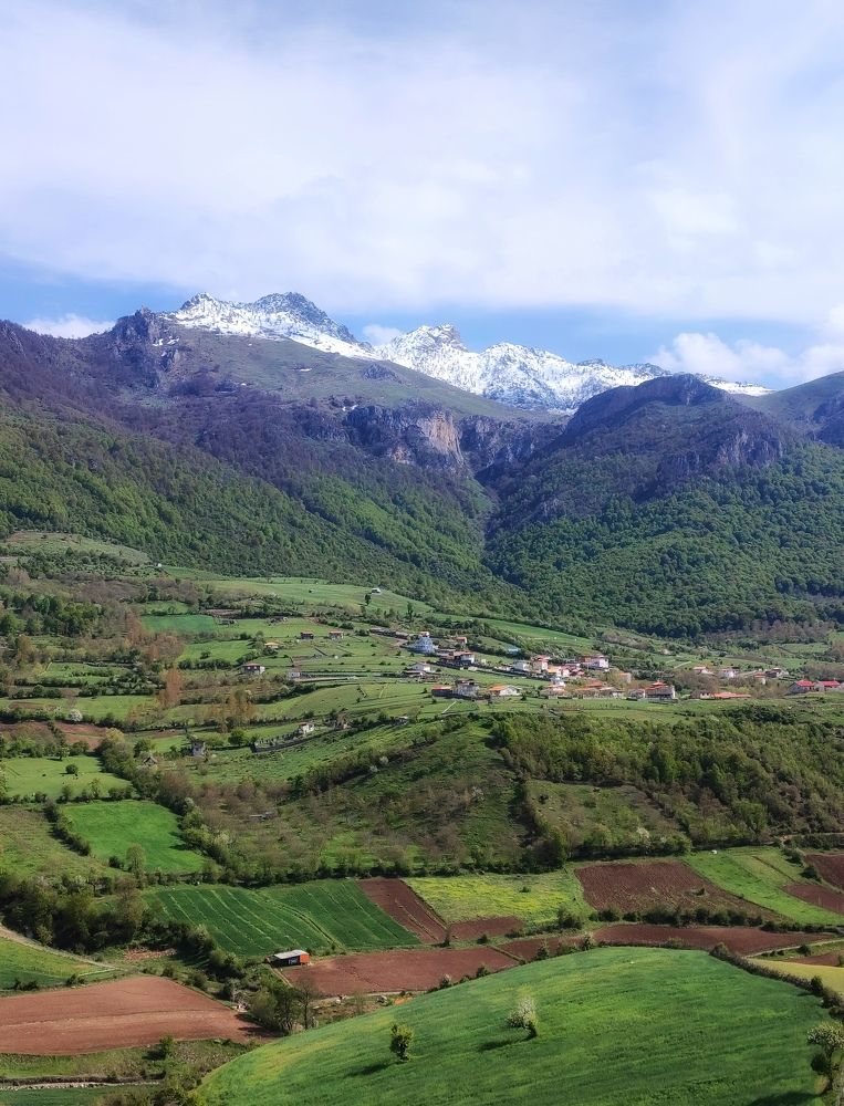 Photograph by Sajad Alizadeh