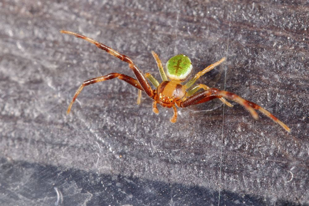 Photograph by Yuriy Teplukhin