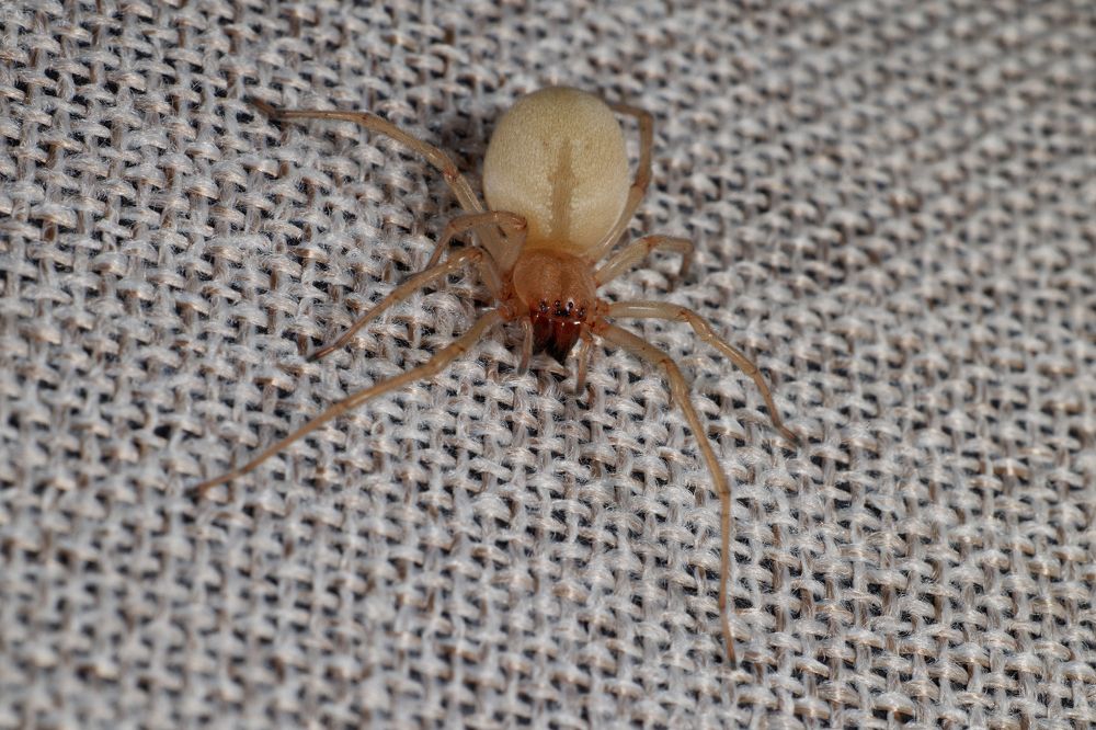 Photograph by Yuriy Teplukhin