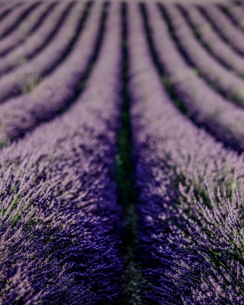 Photograph by Светлана Юдина