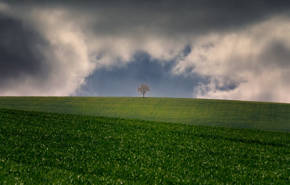 Photograph by Ivo Matějů