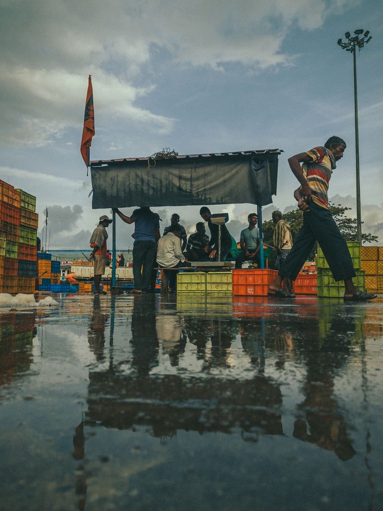 Photograph by Venkatesh r Kamath