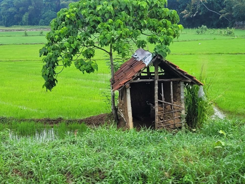 Photograph by Muhammed fazeel A.m.fazeel