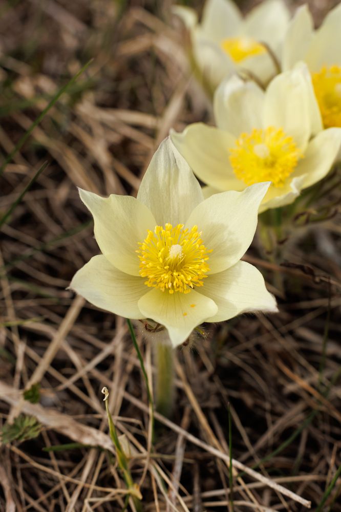 Photograph by Покрышкин Максим