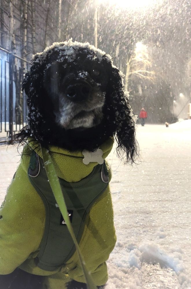 Опять метель.