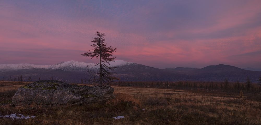 Photograph by Владислав Костылев