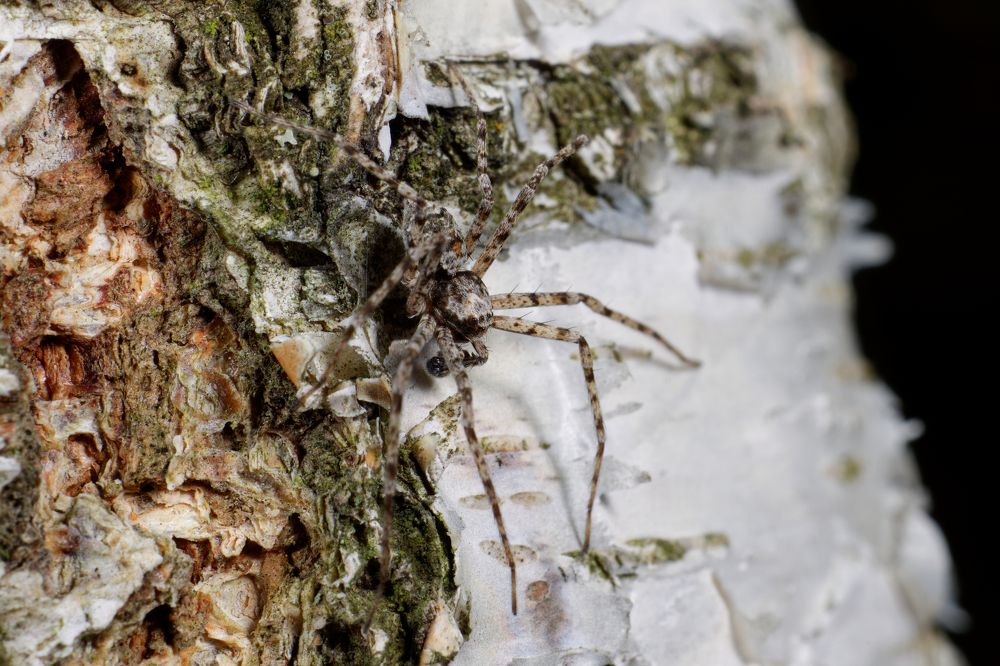 Photograph by Yuriy Teplukhin