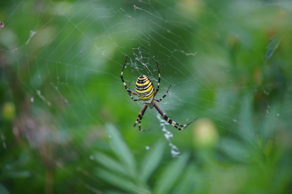 Фотография автора Светлана Зимина