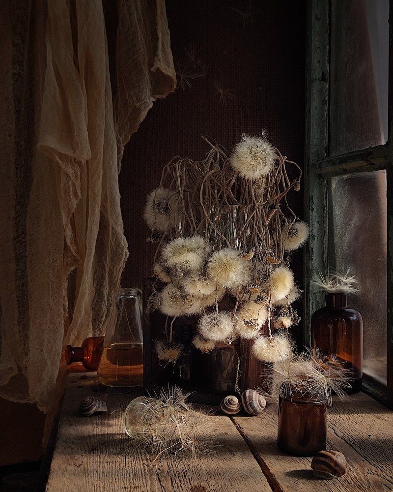 Фотография автора Инга Шевелёва