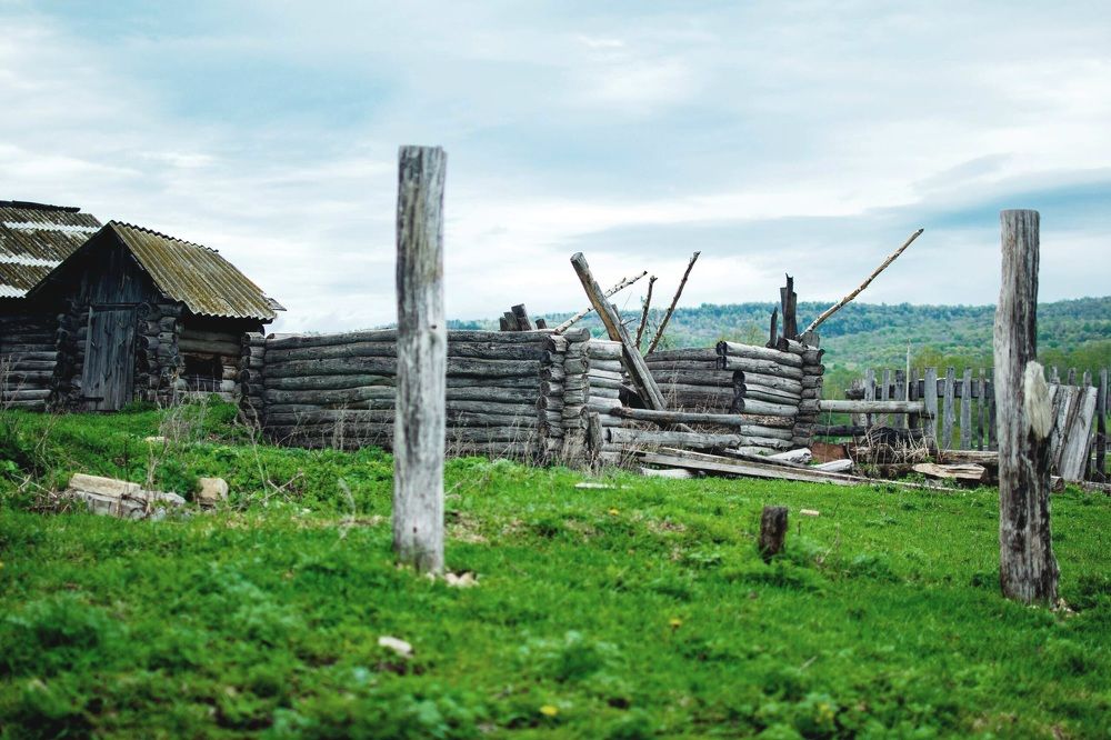 Photograph by Сауия Назмутдинова