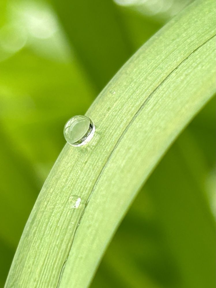Фотография автора Ирина Якущенко