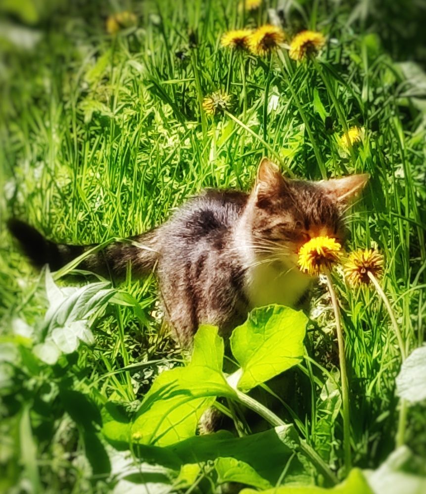 Photograph by Дайана