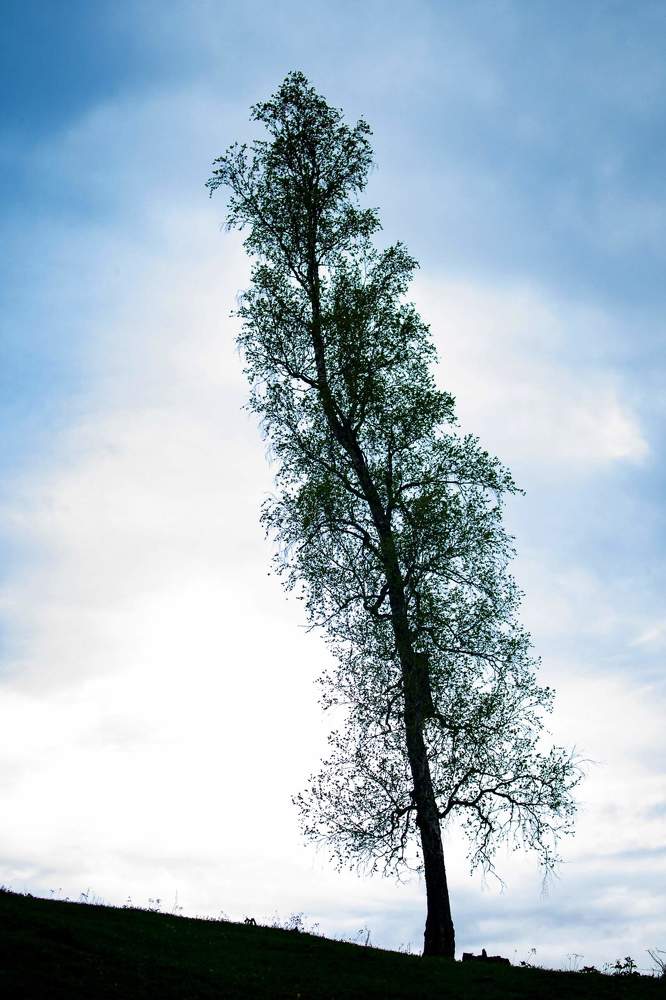 Photograph by Сауия Назмутдинова