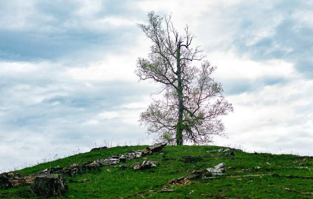 Photograph by Сауия Назмутдинова