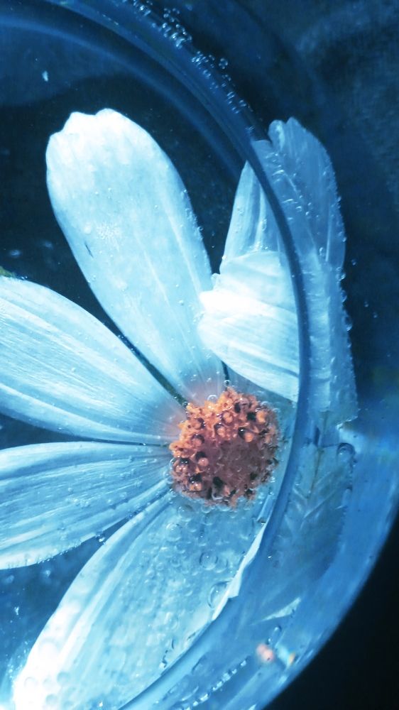 Photograph by Ольга Рыкова