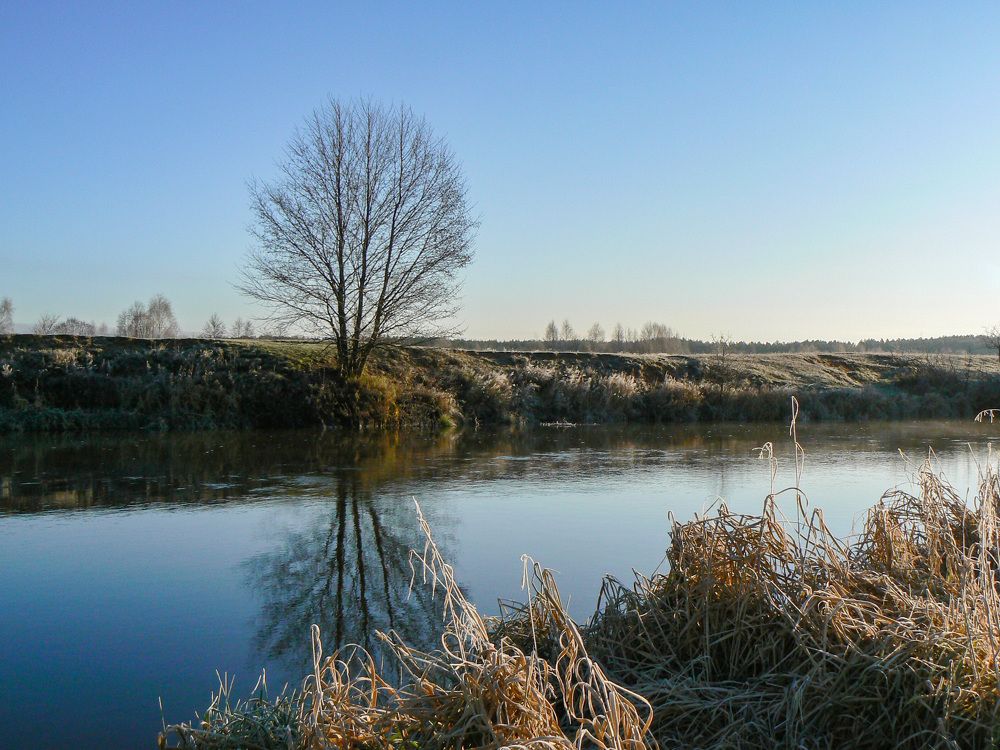 Photograph by Алексей Борисов