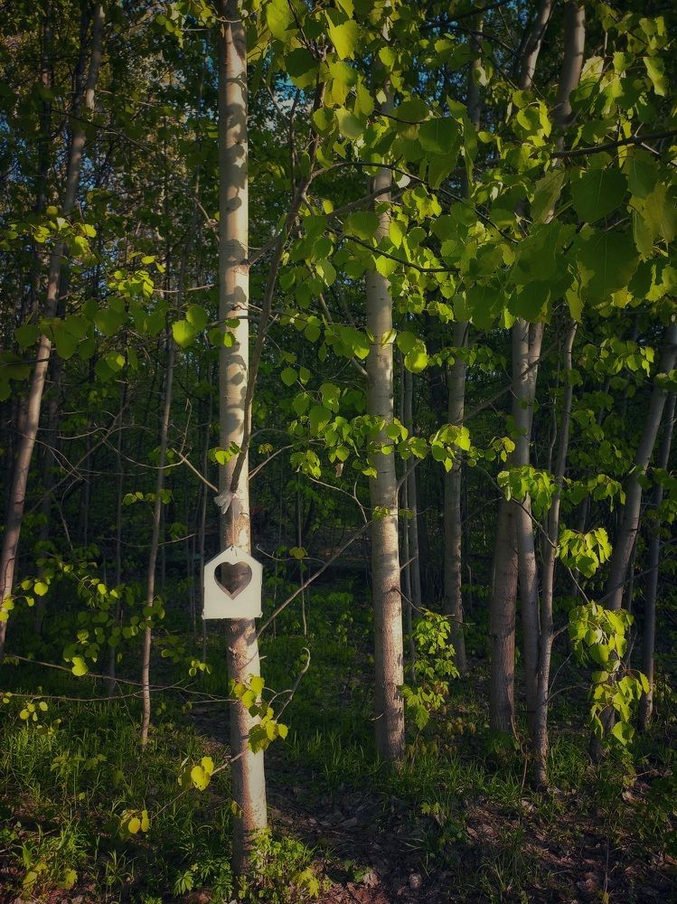 Photograph by Марина Егорова