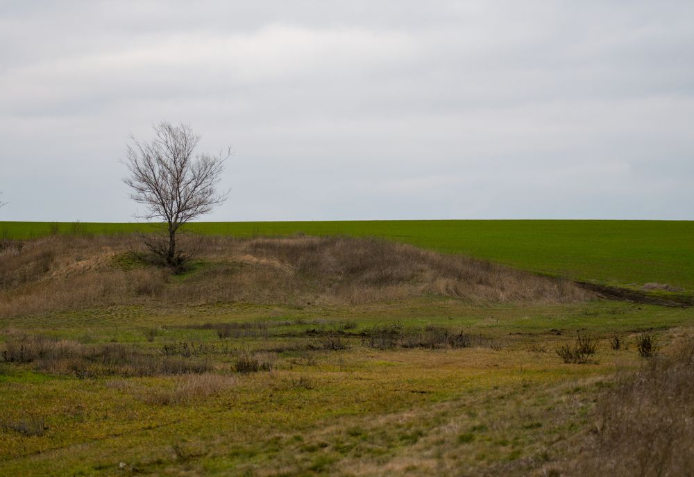 Photograph by Олег Алексеев