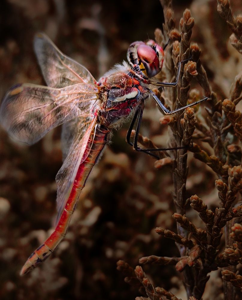 Photograph by Yasin Rezapour