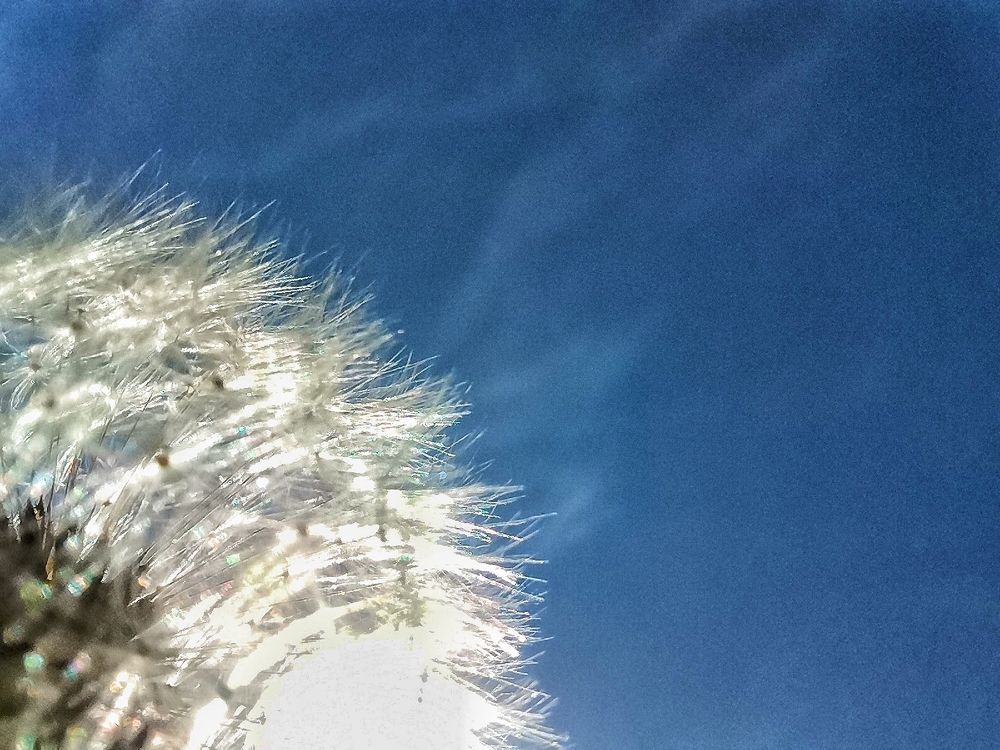 Photograph by Ирина Садовникова