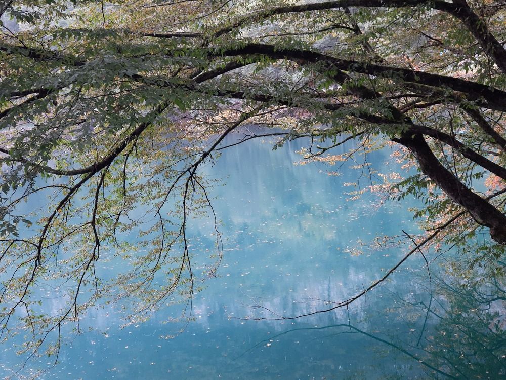 Photograph by Галина Чинкина